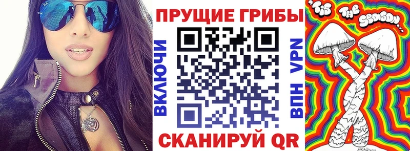 Галлюциногенные грибы Magic Shrooms  Новотроицк 