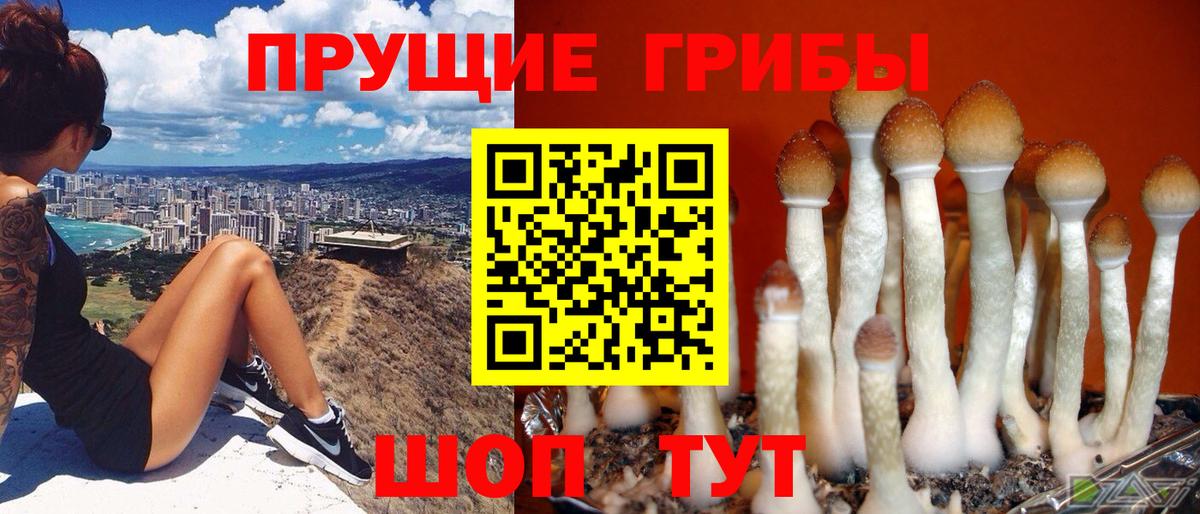 купить  сайты  Вход с VPN  Новотроицк  Псилоцибиновые грибы Magic Shrooms  Галлюциногенные грибы прущие грибы 