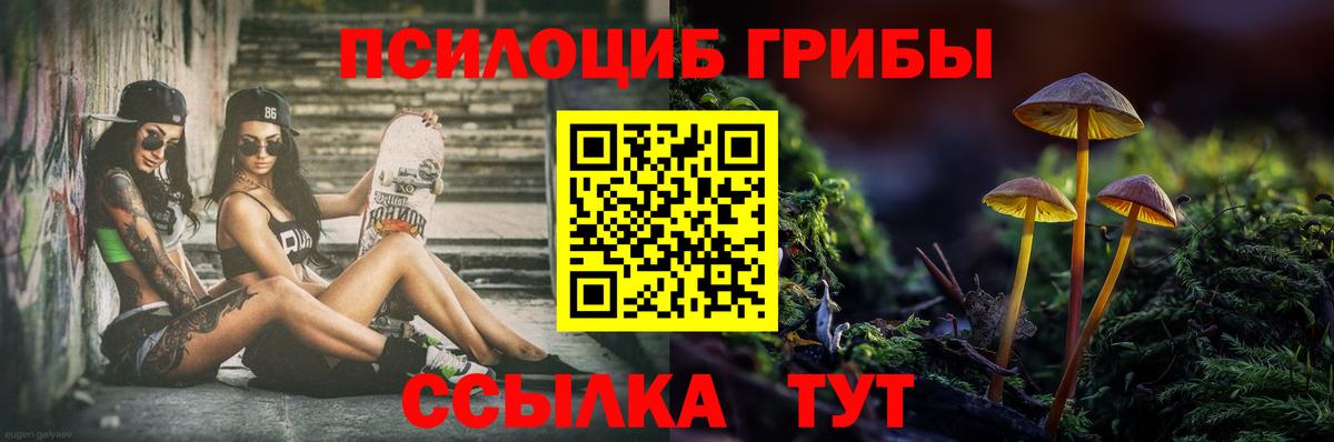 Псилоцибиновые грибы прущие грибы  Новотроицк  Псилоцибиновые грибы прущие грибы 